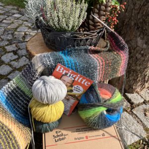 Schal fürs Leben 2025 Lana Grossa